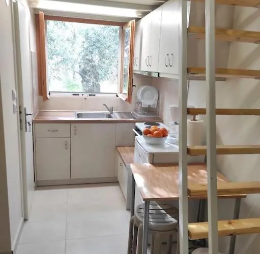 Sweet Little * לאונידיון